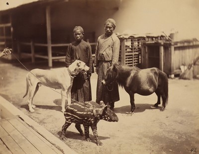Lot 27 - Java. Man and Boy with animals.