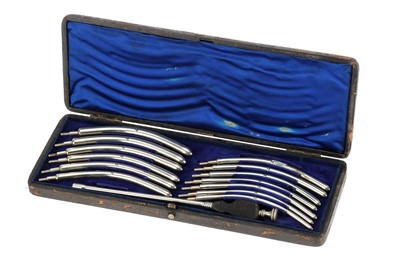 Lot 14 - Urethral Cluton-type Sound (Dilator) Set