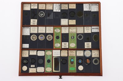 Lot 153 - Large Cabinet of fine Victorian Microscope Slides