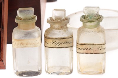 Lot 42 - A 19th Century Domestic Medicine Chest