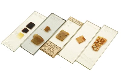 Lot 344 - A Collection of Early uncovered Geological Slides