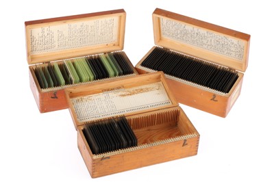 Lot 590 - Glass Plate Negatives