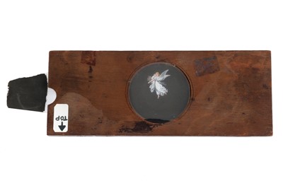 Lot 182 - Magic Lantern Ora Pro Nobis
