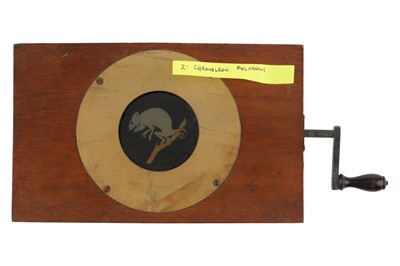Lot 184 - Magic Lantern Chameleon Changing Colour
