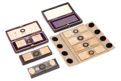 Lot 20 - A Collection of Arranged Diatom Slides