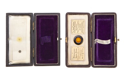 Lot 20 - A Collection of Arranged Diatom Slides