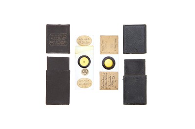 Lot 20 - A Collection of Arranged Diatom Slides