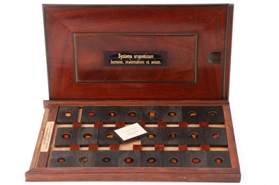 Lot 21 - A Cased Set of Hyrtl Microscope Slides