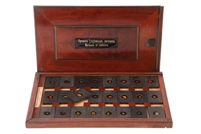 Lot 23 - A Cased Set of Hyrtl Microscope Slides