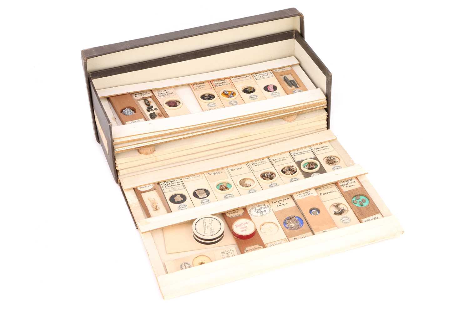 Lot 27 - A Very Fine Collection of Dry Mounted Marine, Fossil, Crystal & Geological Microscope Specimen Slides