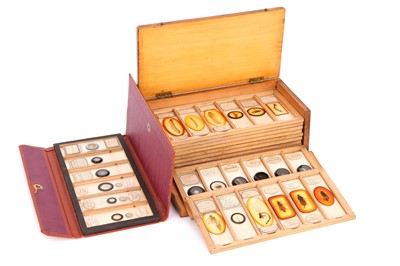 Lot 28 - A Set of Microscope Slides