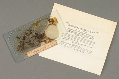 Lot 29 - An Exceptional Exhibition Slide from the Lomax Exhibition
