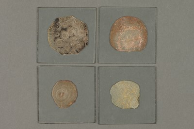 Lot 31 - A Collection of Large and Early Mineral Microscope Slides