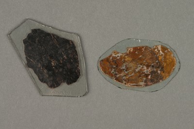 Lot 32 - An Early Mineral Microscope Slides from The Robert Furguson Collection