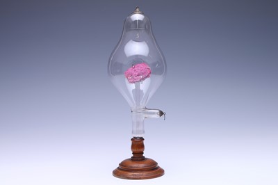 Lot 58 - Large & Fine Crooks Mineral Tube