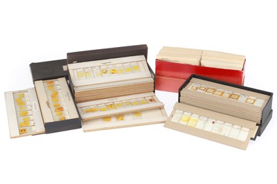 Lot 644 - A Collection of Microscope Slides