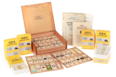 Lot 646 - Collection of Microscope Slides