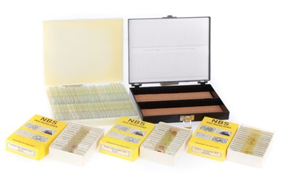 Lot 647 - Small Collection of Microscope Slides