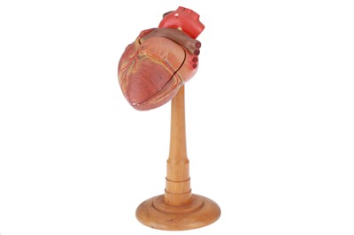 Lot 296 - Rouilly, Adam, Anatomical Model of a Heart