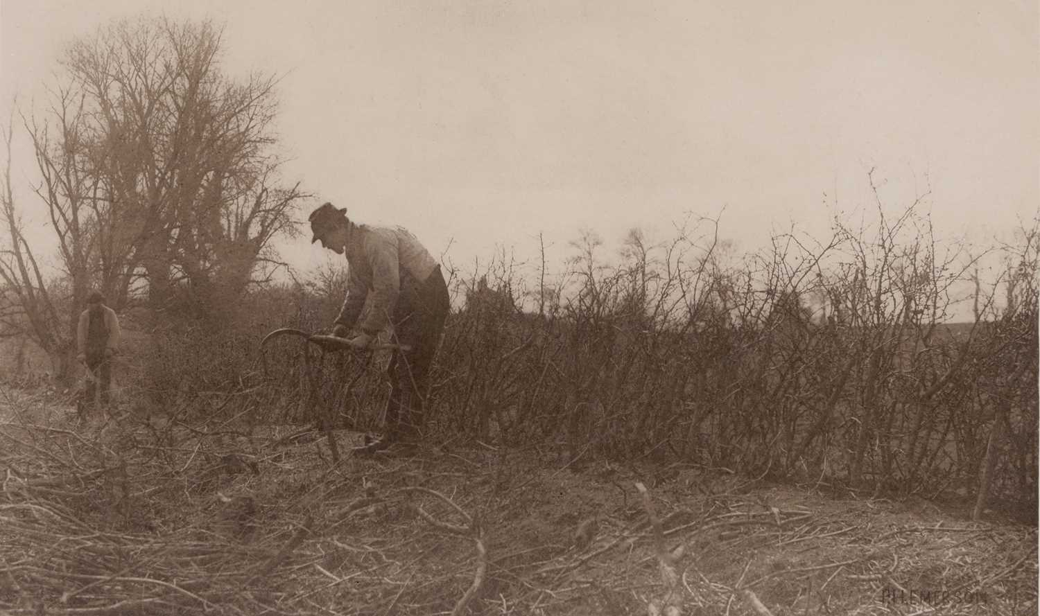 Lot 33 - P.H.Emerson Fencing in Suffolk