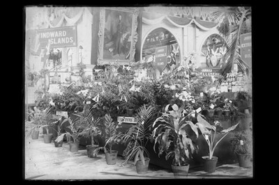 Lot 35 - International Exhibition, Jamaica, 1891, Unique Archive of Photographs