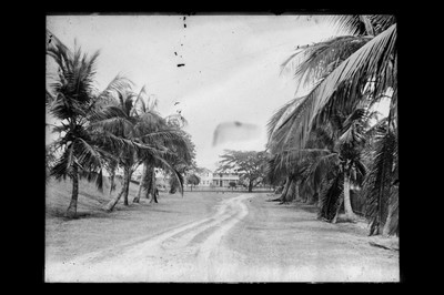 Lot 35 - International Exhibition, Jamaica, 1891, Unique Archive of Photographs