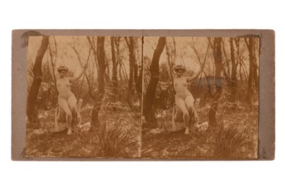 Lot 725 - Stereocards, Erotic Nudes