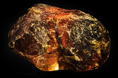 Lot 493 - Extraordinarily Large Piece of Natural Amber