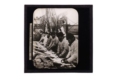 Lot 735 - Magic Lantern Slides, Whale Hunting