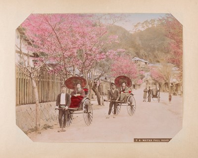 Lot 38 - Japan Tinted Albumens