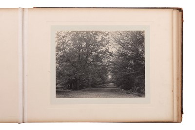 Lot 83 - Epping Forest Scenery