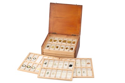 Lot 208 - Geological Microscope Slide Collection