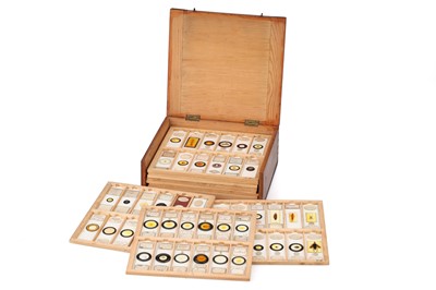 Lot 209 - Mixed Collection of Microscope Slides