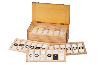 Lot 210 - Mixed Collection of Microscope Slides including Microphotographs