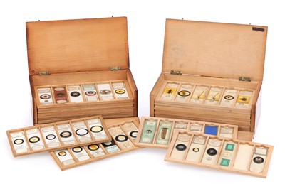 Lot 213 - Microscope Slide Collection