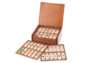 Lot 214 - Collection of Diatom Microscope Slides