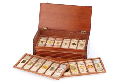 Lot 215 - Collection of Geological Petological Microscope Slides