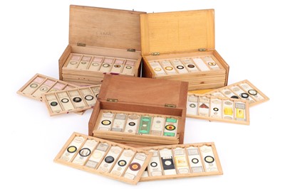 Lot 650 - Collection of Microscope Slides