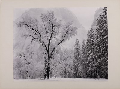 Lot 61 - Ansel Adams
