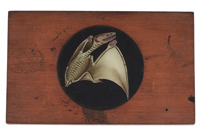 Lot 432 - Collection of 27 Mahogany Framed Magic Lantern Slides
