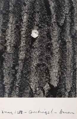 Lot 53 - Aaron Siskind