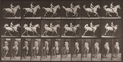 Lot 25 - Eadward Muybridge Animal Locomotion