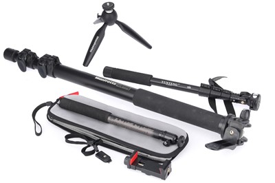 Lot 767 - A Group of Monopods