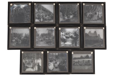 Lot 142 - 19th Century Hop Picking, Magic Lantern Slides