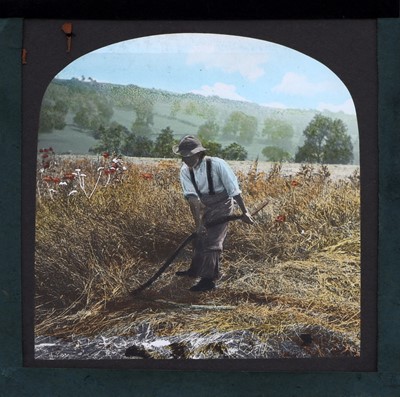 Lot 144 - 19th Century Agriculture, Magic Lantern Slides