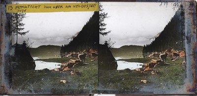 Lot 100 - Set of 24 Kaiser-Panorama Glass Stereoviews, Czech Republic