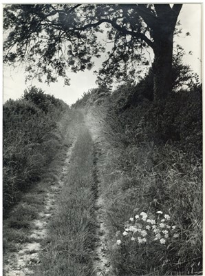 Lot 70 - EDWIN SMITH (1912-1971) The Pilgrim's Way - Path to the Top of the Hill