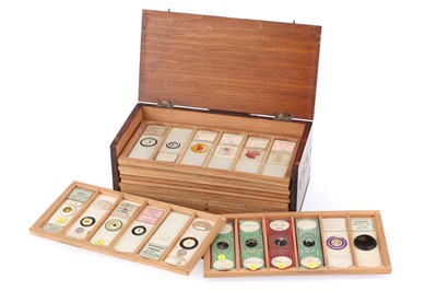 Lot 965 - Collection of Microscope Slides