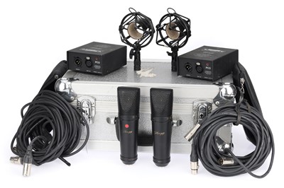 Lot 494 - A Pair of Stagg MCO-7 Condenser Microphones