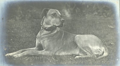 Lot 27 - An Edwardian Pictorialist Photograph Album